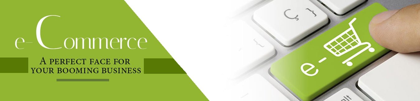 ecommerce development company in Delhi / Noida